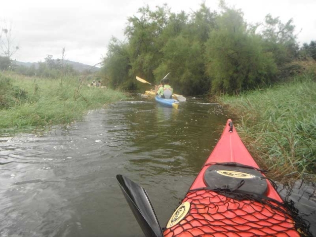 actividades en kayaks